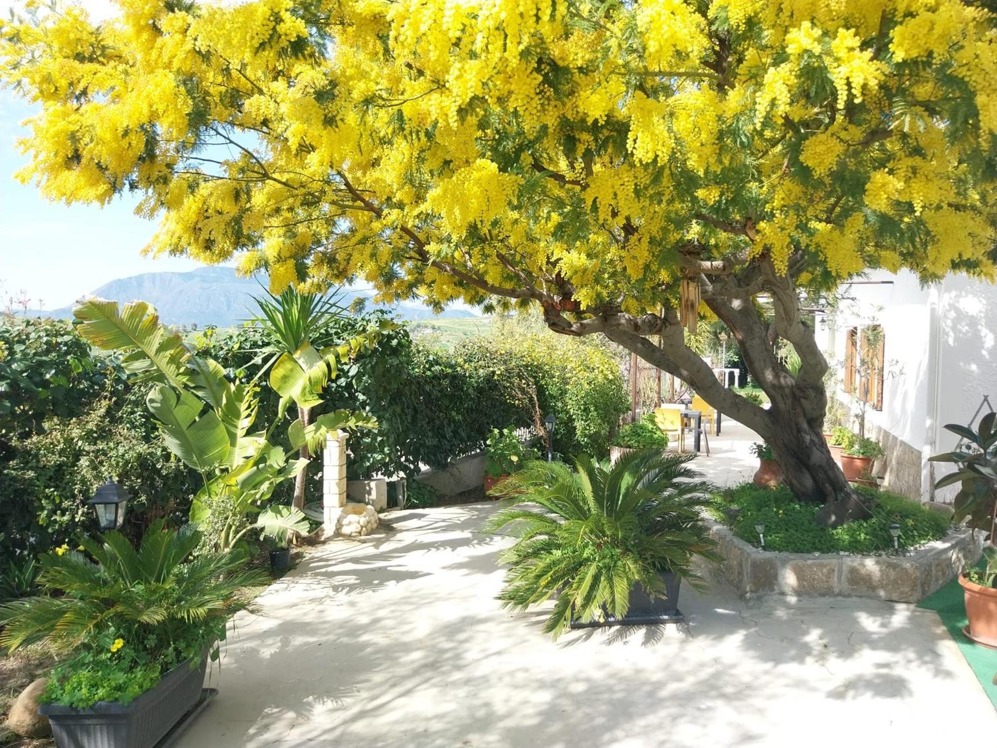 Casa Lachesi Caccamo 外观 照片